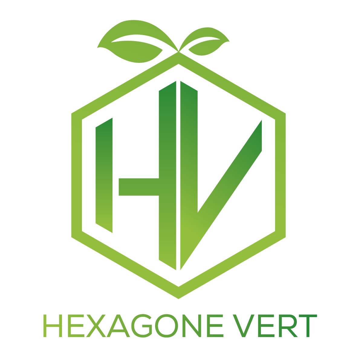 Logo Hexagonevert